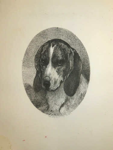 Godefroy jadin eau - godefroy, (1805-1882)