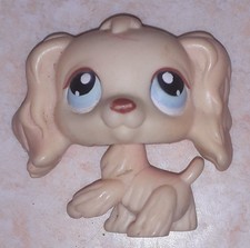 Petshop chien EPAGNEUL 91