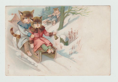 Chats humanisés luge - humanisés, à