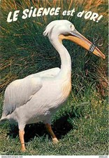 Animals - Birds - Humorous Animals - 81 - The Pelican - Humorous Card