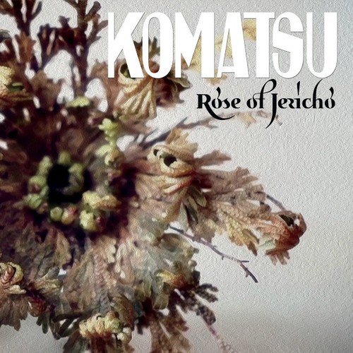 Komatsu rose jericho - rose,
