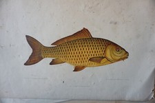 BEAUTIFUL LITHO CARP COLOR FISH FARMING FISHING NAPOLEON III 1850 c