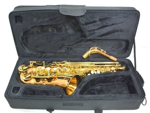 Saxophone alto yanagisawa - saxophone,