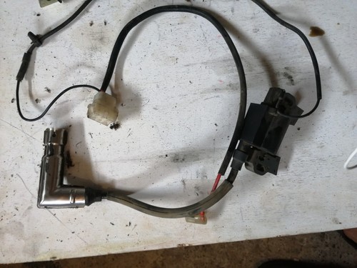 Tondeuse moteur loncin cv - loncin,
