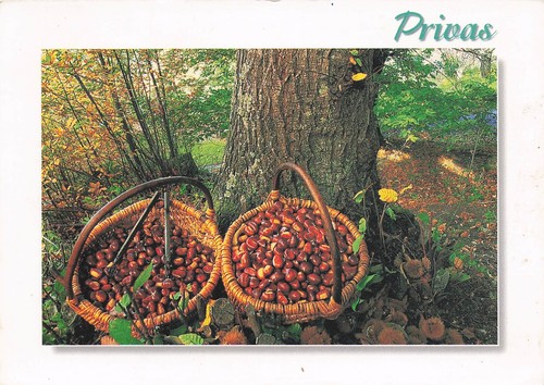 Privas chataignes - privas,