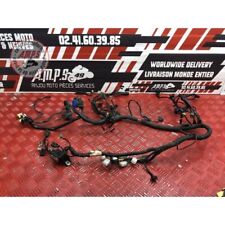 Faisceau électrique