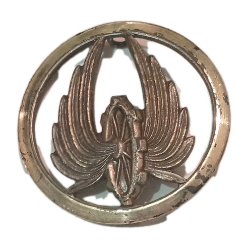 Insigne béret arme du - insigne,
