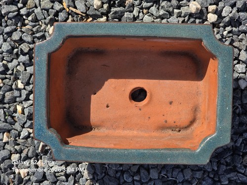 Pot bondaï terre cuite - en,