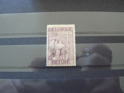 Belgique timbres poste cob - poste, n°