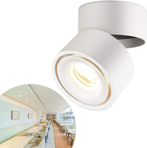 Spot saillie orientable 10w - saillie,