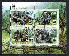 Animaux Chimpanzés WWF