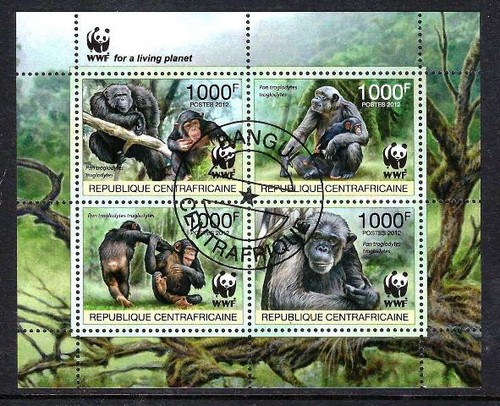 Animaux chimpanzés wwf - animaux,