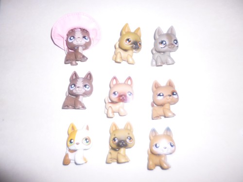 Littlest pet shop - littlest, auth