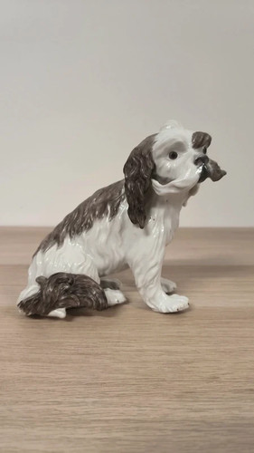 Cavalier king charles edmé - cavalier, charles-edmé