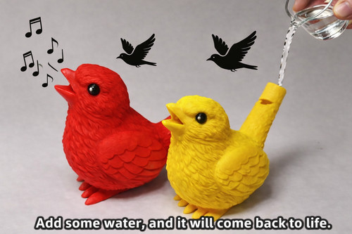 2pc water bird - water, for