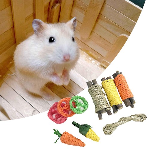 Bunny hamster lapin jouet - bunny,