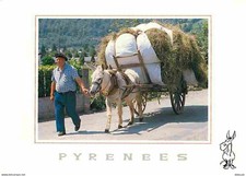 Animals - Horses - Pyrenees - Haystack - Haystack - Postal Flame - C