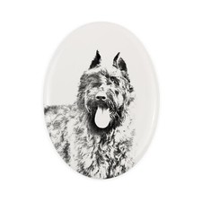 Bouvier des Flandres une