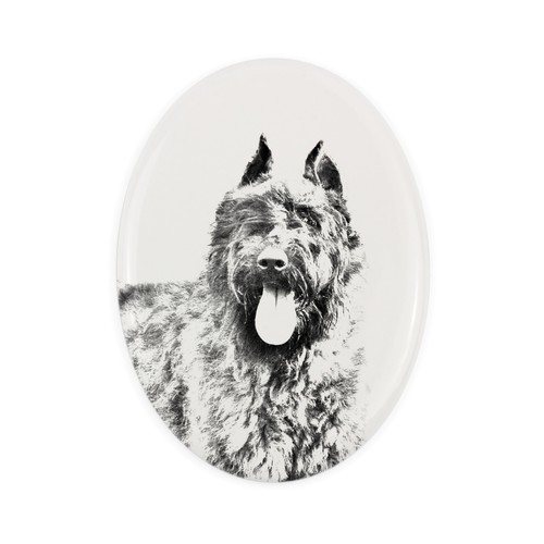 Bouvier des flandres une - bouvier,