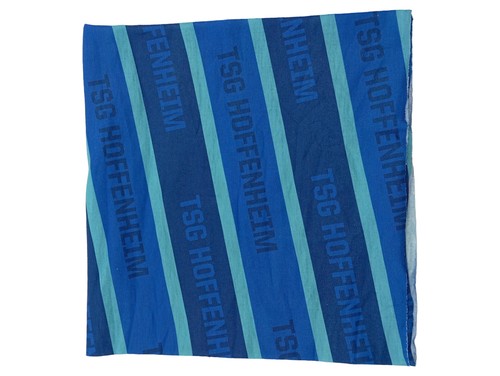 Sans marque tsg - marque, hoffenheim