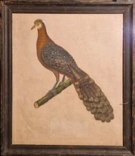 Beau Tableau Dessin Aquarelle