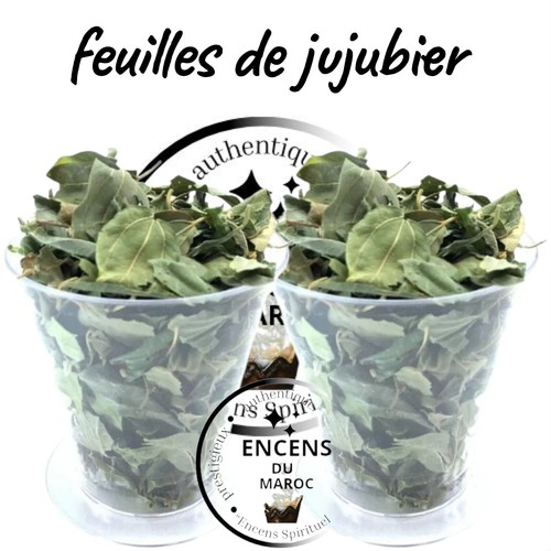 Feuilles jujubier - feuilles, de