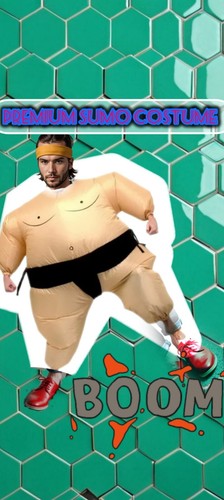 Sumo wrestler costume - sumo,