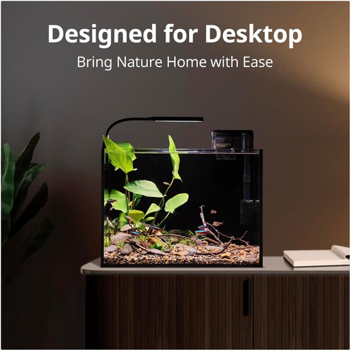 Stylish gal aquarium set - 2.5,