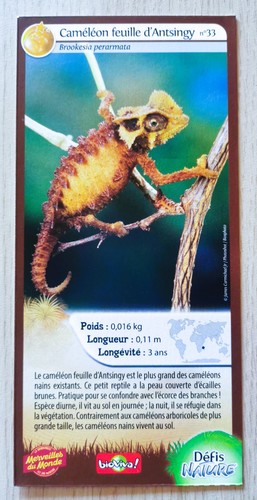 Carte merveilles monde - du,