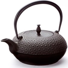 Oigen Nambu Fer à Repasser