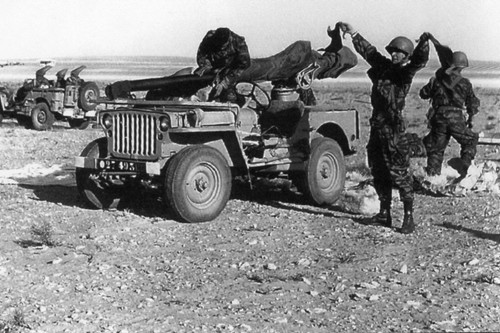 Militaria algérie jeep - algérie,