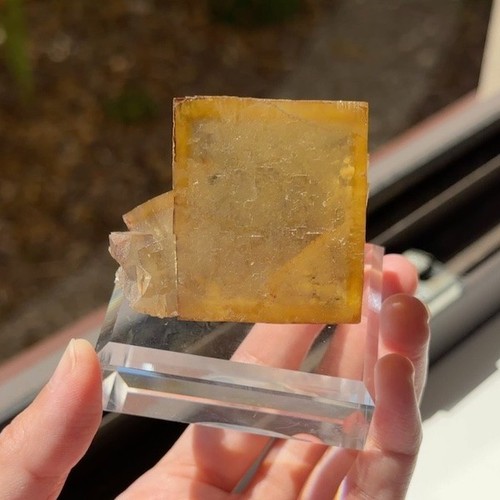 Hammam morocco fluorite - hammam,,