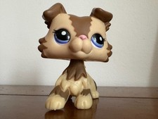 Petshop colley n°2210 de