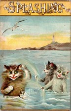 Raphael Tuck Humorous Cats Postcard “Splashing” M Boulanger  1908 Series