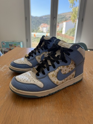 Nike dunk high pro - nike,