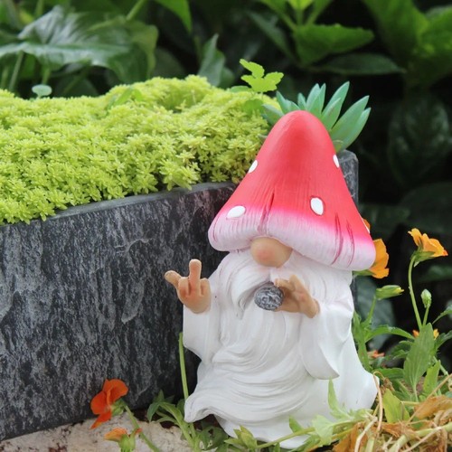 Nain jardin lutin - nain,