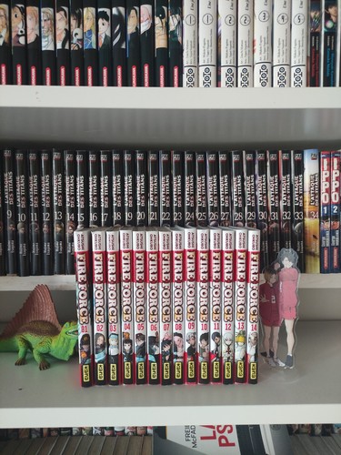 Kana lot mangas fire - kana,