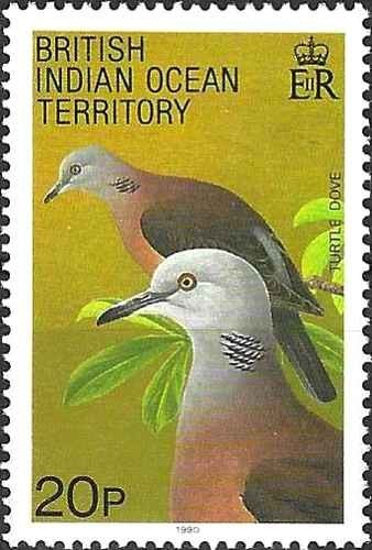Timbre oiseaux tourterelle - oiseaux,