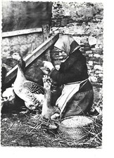 31  VILLEFRANCHE DE LAURAGAIS