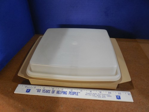 Vintage tupperware deviled egg - deviled,