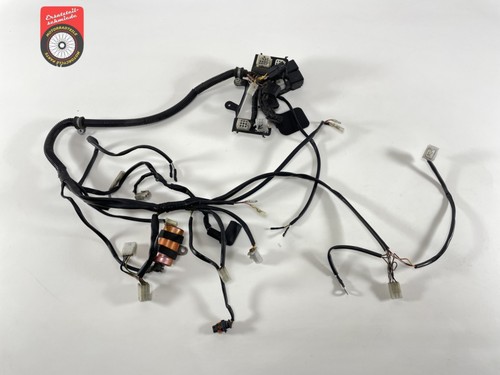 Faisceau câblage moteur - faisceau,