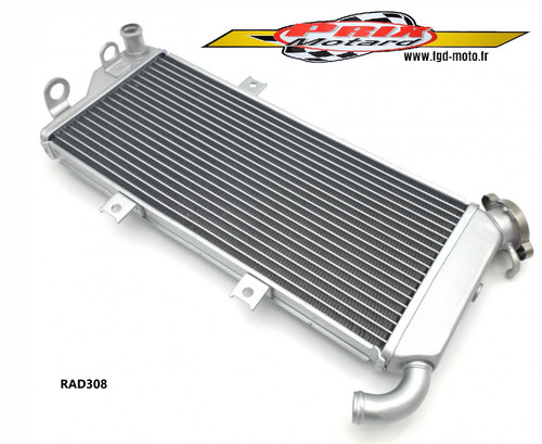 Kawasaki 650 er6 2009 - 650, er6-f