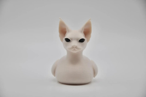 Sphynx cat duck - cat,