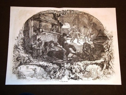 Brewing cider 1858 - brewing,