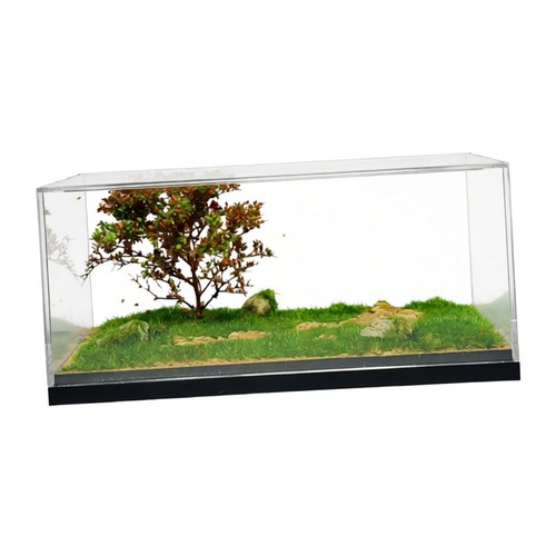 Vitrine pour voiture miniature - pour,