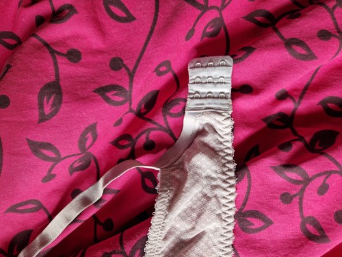 Rougegorge soutien gorge - rougegorge, soutien-gorge