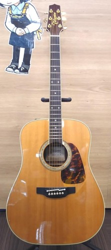 Takamine dmp251 corps en - [takamine],