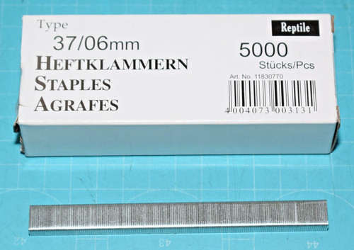 Boite 5000 agrafes reptile - boite,