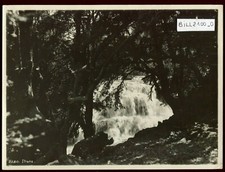 Maroc photo ancienne. IFRANE 