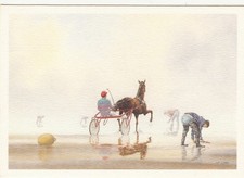 Carte postale postcard CHEVAL